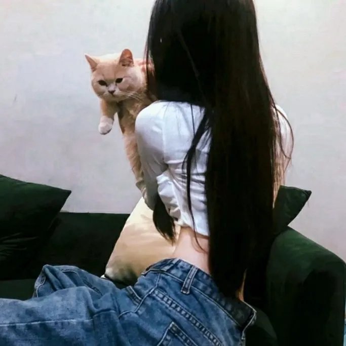去阿布贾的最后航班